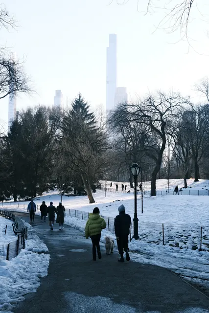 A snowy path in Central Park with skyscrapers behind the trees